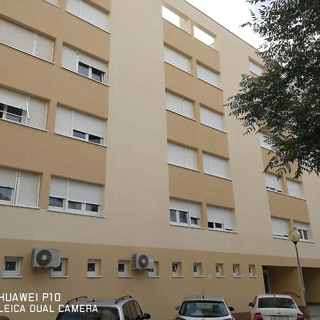 Apartment Mihaela ザダル エクステリア 写真