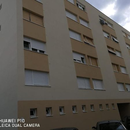 Apartment Mihaela ザダル エクステリア 写真