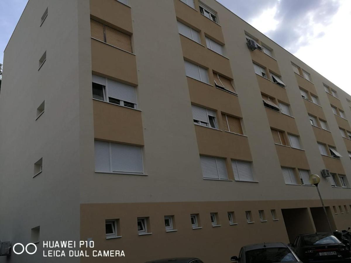 Apartment Mihaela ザダル エクステリア 写真