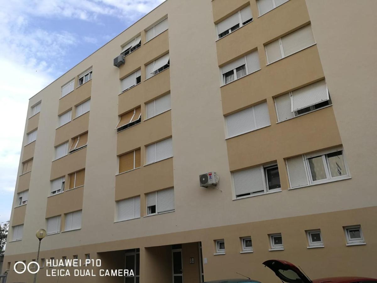 Apartment Mihaela ザダル エクステリア 写真